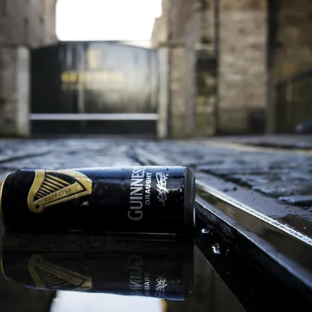 فندق The Temple Bar Lane دبلن