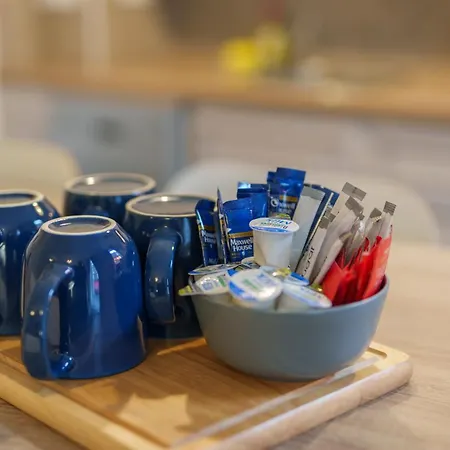 The Temple Bar Lane فندق دبلن