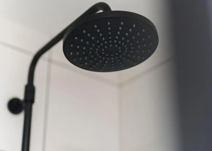 מלון The Temple Bar Lane 3*