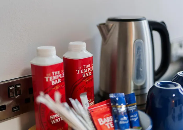 The Temple Bar Lane מלון 3*